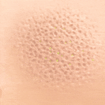 Feature product image
